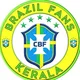 BRAZIL STATUS GROUP 🇧🇷