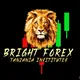 👑BRIGHT FOREX TANZANIA INSTITUTE