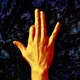 Бродяги : VAGABOND
