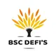 Bsc Defi's