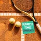 🎾Budapest Tennis Community. Tennis Bot we use😃