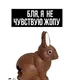 regnbågskaninens rumpa