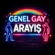 GENEL GAY ARAYIŞ
