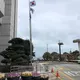 Busan ish e’lonlari