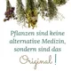 Kati's Kräuterküche