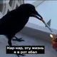 Петля в душе