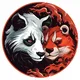Китай 🇨🇳 EasyPanda