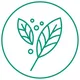 ФлораМания🌿