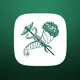 DIGITAL KHARKIV