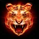 BNB Tiger