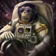 bombscrypto