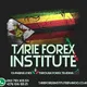 Forex Trading Zim