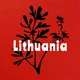 🇱🇹 🇺🇦 Lithuania Літва Литва + Вільнюс Вильнюс