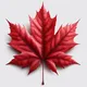 CANADA CAREGIVERS