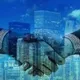 Indonesia Investment Authority ( IIA )