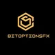 BIT OPTIONS FXT