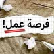 💸فرصة عمل بسوريا 💸