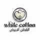 القطن الأبيض