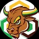 blockchainbullhorn