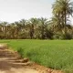 ناس الخرطوم في الولايات