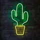 𝘾𝙖𝙘𝙩𝙪𝙨 🌵
