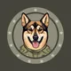 $CAIRO The Alpha Dog