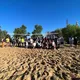 Calgary Volleyball Fans