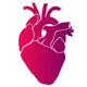 Cardio Chronics | Cardiac Surgery | Cardiology