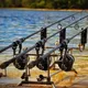 CarpFishing барахолка Беларусь