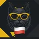 CATAMOTO POLAND 🇵🇱