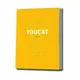 YOUCAT