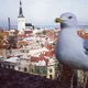 Work in Estonia eng