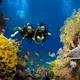 Scuba diving 🤿