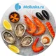 Molluska.ru 🦪 Свежие морепродукты, готовые морские СЕТЫ с доставкой на ДОМ