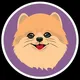 PomPom (Japan)