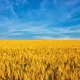 Кишинев. Аренда. Недвижимость