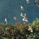 V poiskah smsla sredi slov..🦋