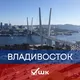 Штаб кандидатов | Владивосток