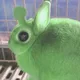 шева и неприятности | Не заперто