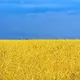 Чат ЖК "Львівський маєток"