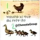 Ethio IQ ጨዋታ