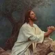 پرسش از مسیحیت
