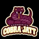 COBRA_JATTT🐍