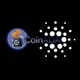 CoinADA official
