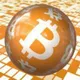 CoinTiger