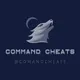 دوره تعلم خاصه COMAND chats