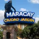 🇻🇪 Compra y Ventas MARACAY