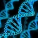 bioinformatics