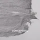 CONCEPTUAL
