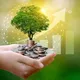 Investment and Technology